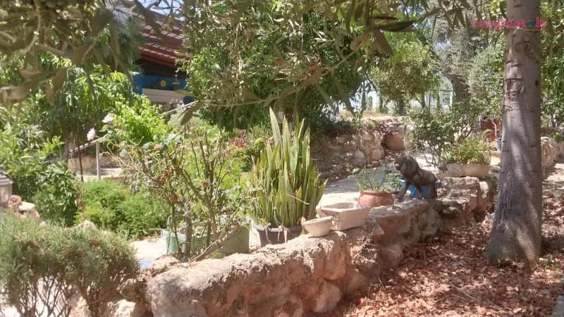בידושקה, צימר, אמציה