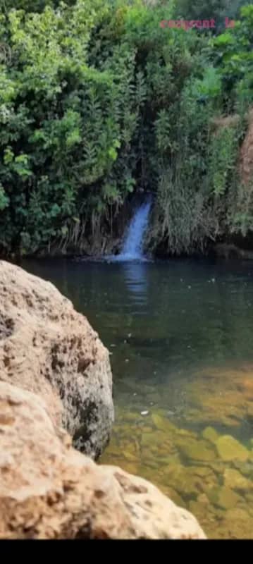אחוזת יהלום לבנים, צימר