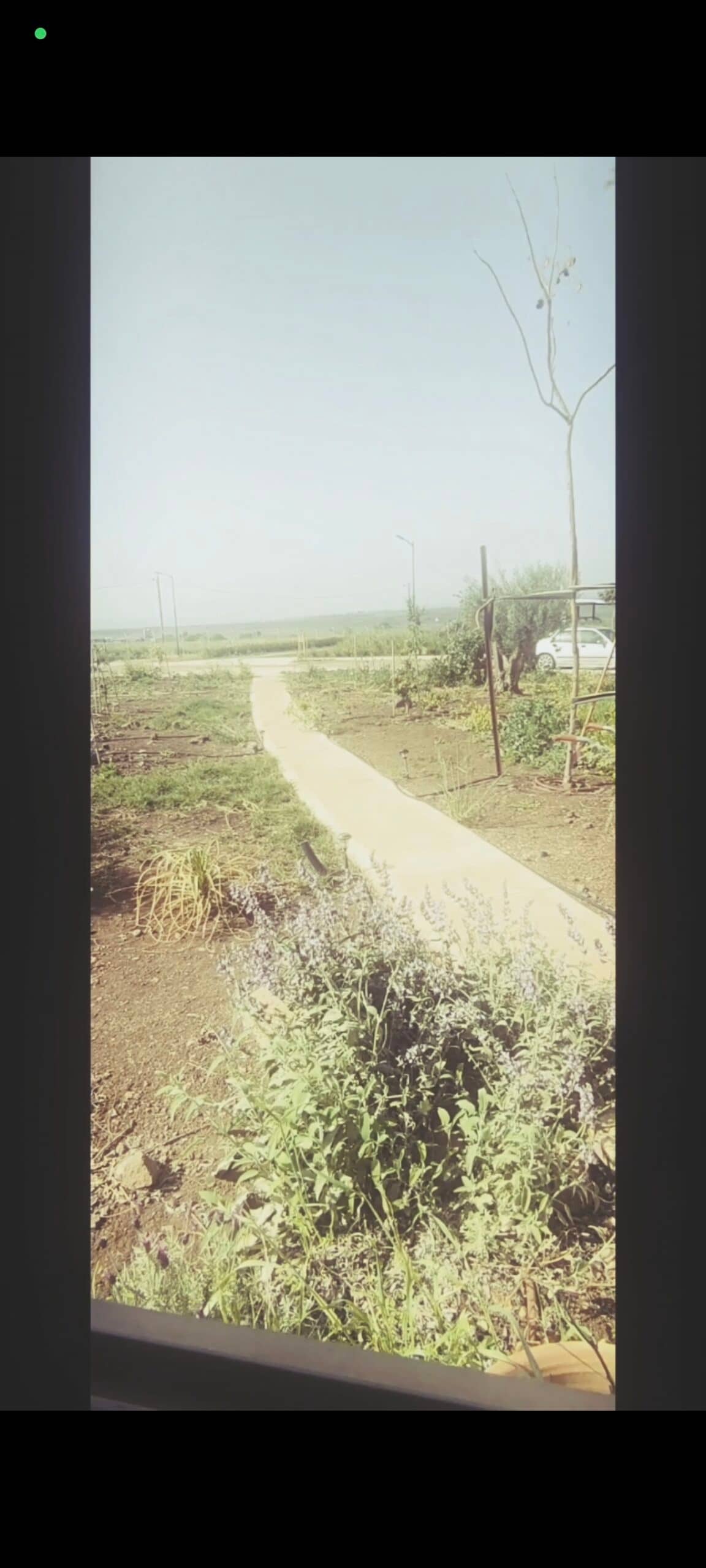 שלווה בקן- יורט פרטי למפגשים משמעותיים