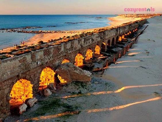 The beach garden apartment - תמונה 9