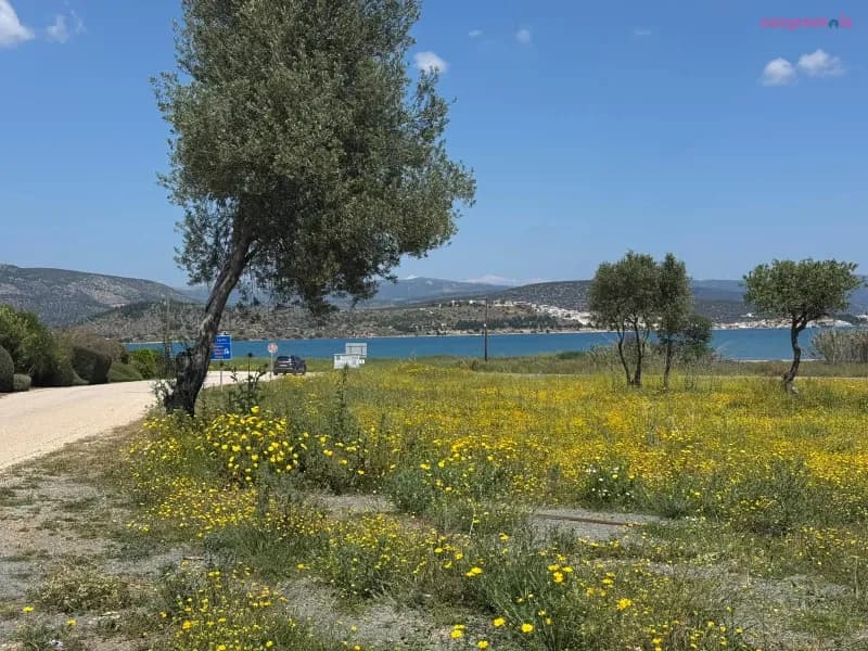 villa nova s.r, וילת אירוח, Portocheli יוון, תמונה 5