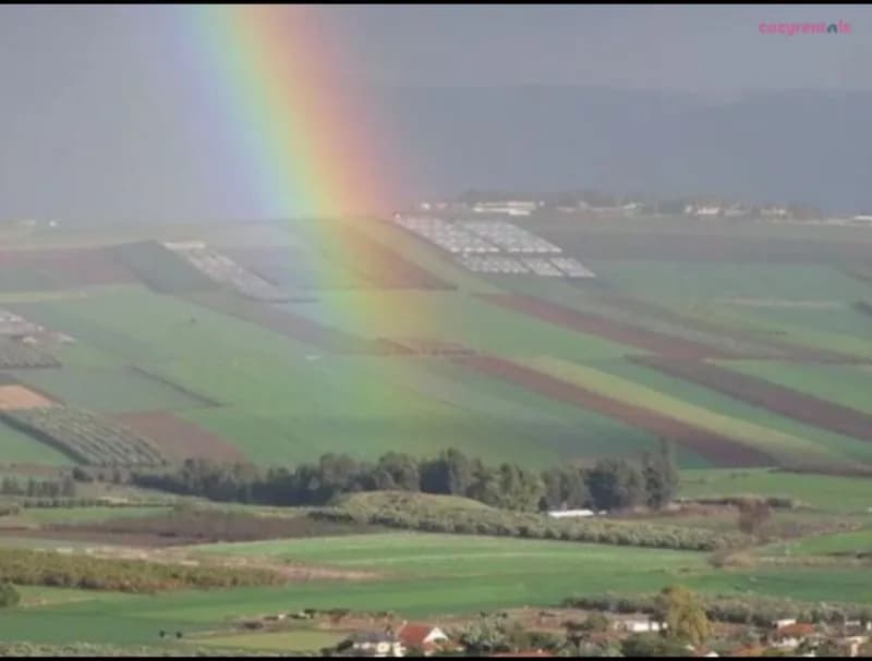 אהבה במרומים, צימר, פוריה־נווה עובד, תמונה 10