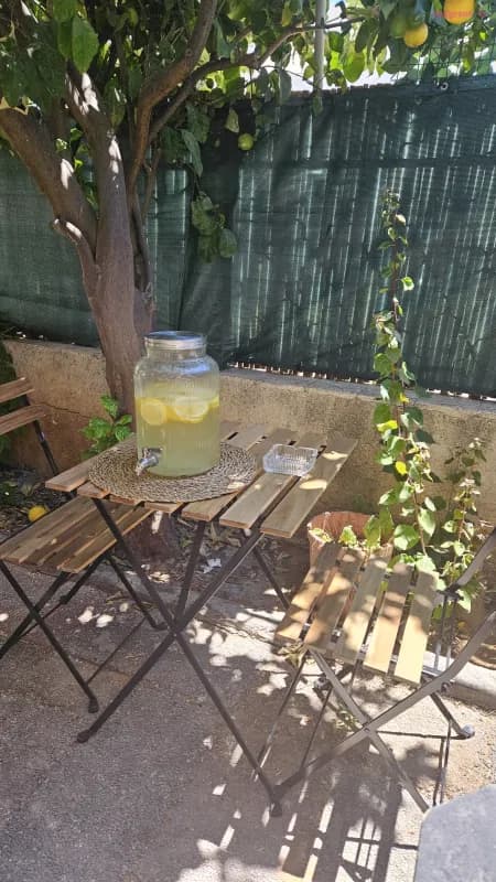 Lemon House🍋🍋🍋, שותפים, תל אביב־יפו, תמונה 6