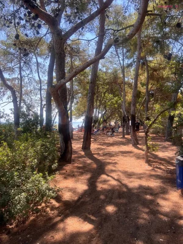 דירת אירוח ליד הים בפלפונס יוון, דירת נופש, קסילוקסטרו, תמונה 8