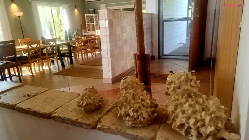 Olives hotel, וילת אירוח, ערד, תמונה 5