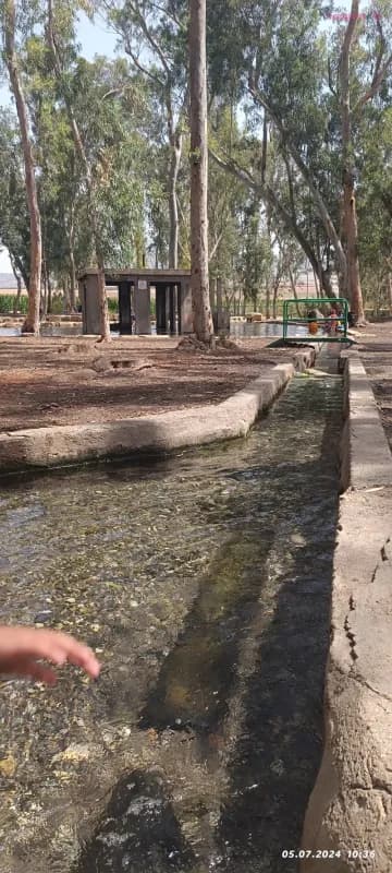 צימר ליד עמק המעיינות, אביטל, תמונה 3