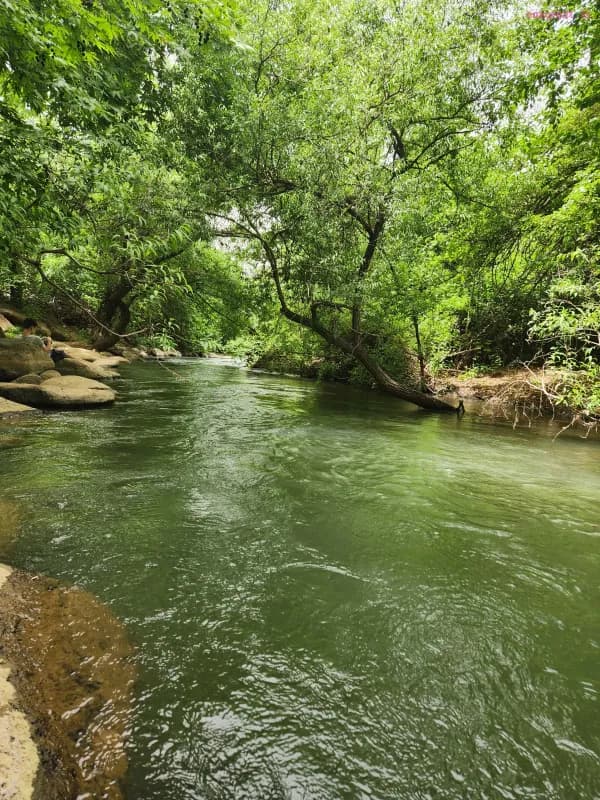 בית האורחים צימר גלילי בין שדות ונחלים, שדה נחמיה, תמונה 11
