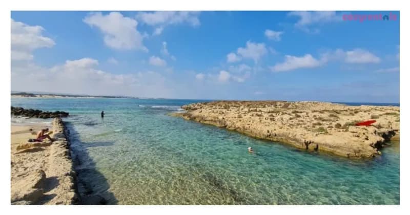סוויטת פלמינגו, דירת נופש, עתלית, תמונה 12