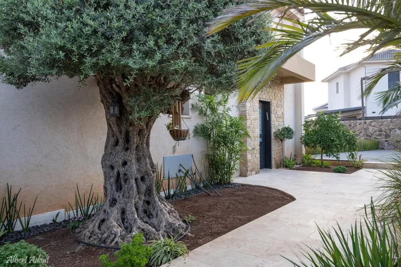 סוויטות נוף לתבור, צימר, גבעת אבני, תמונה 13