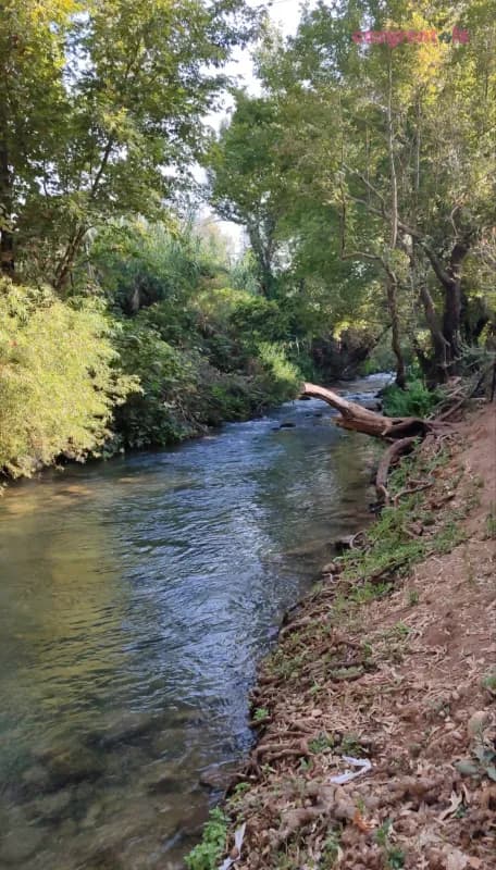 קיבוץ עמיר, סאבלט, תמונה 6