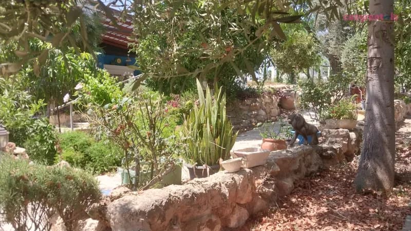 בידושקה, צימר, אמציה, תמונה 2