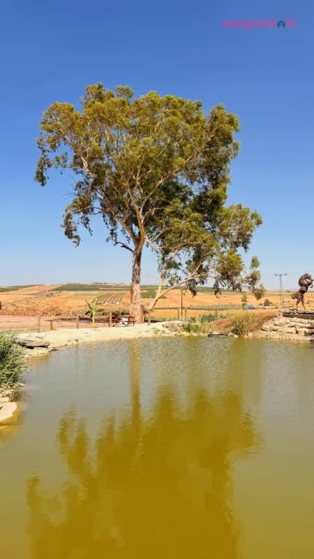חוות אדמה ושמיים יבנאל, לופט אירועים, תמונה 11
