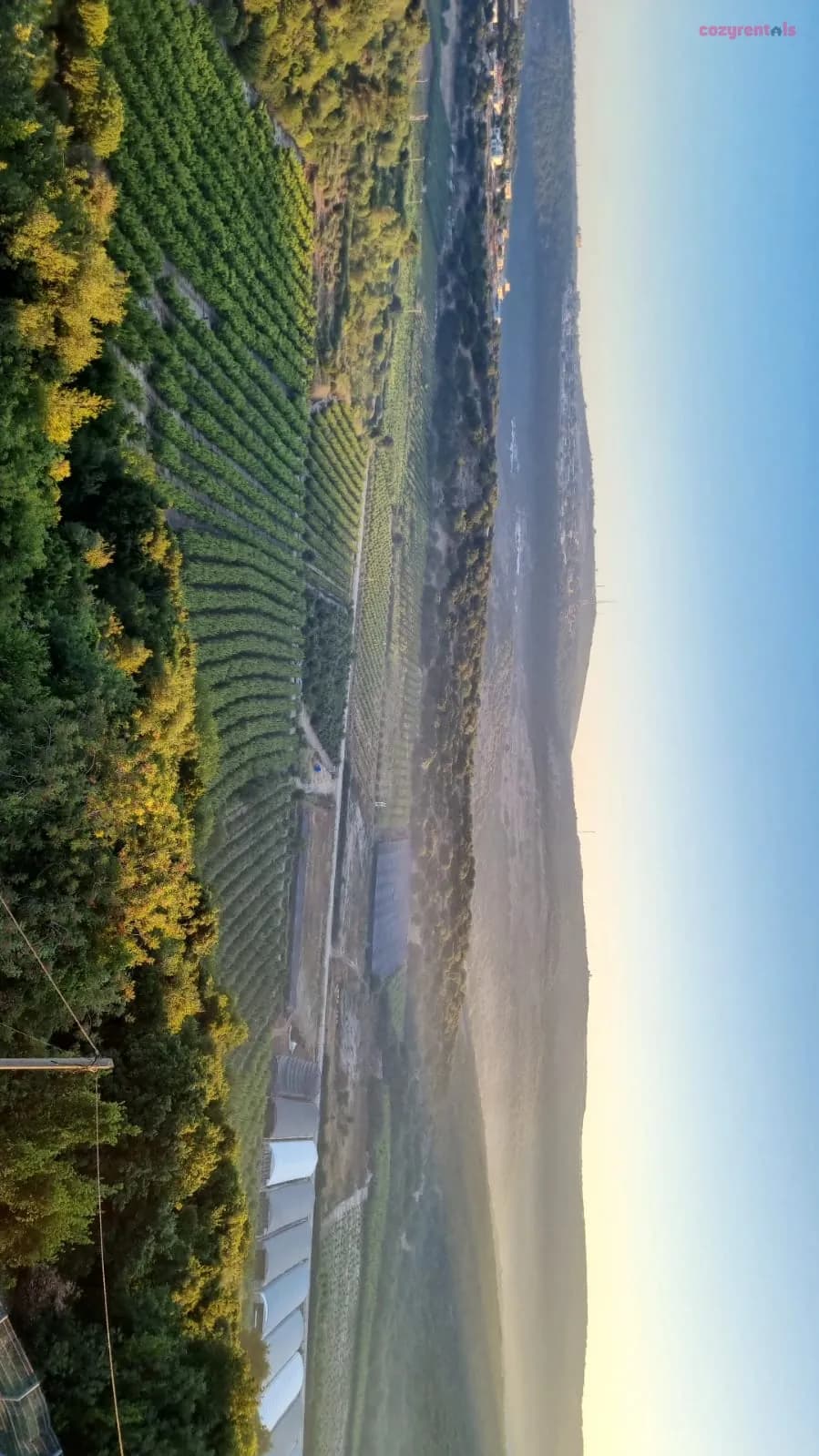 green view suites, צימר, אבן מנחם, תמונה 15