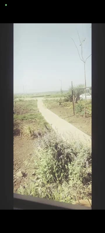 שלווה בקן- יורט פרטי למפגשים משמעותיים, צימר, אלי עד, תמונה 3