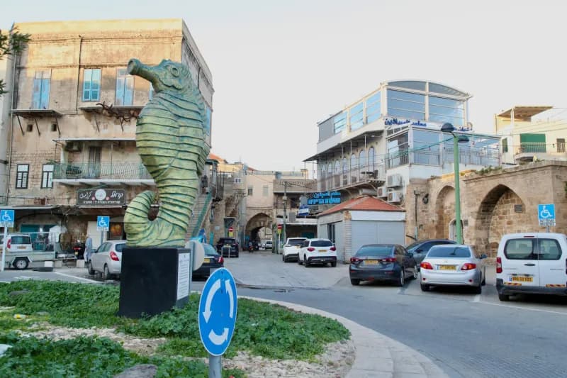 אבן והים, צימר, עכו, תמונה 5