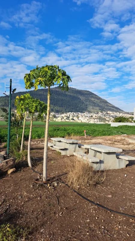 יחידת אירוח מול התבור, דירת נופש, כפר תבור, תמונה 2