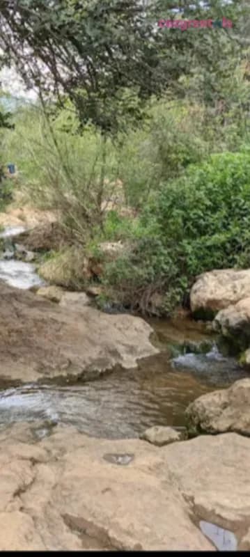 אחוזת יהלום לבנים, צימר, תמונה 5
