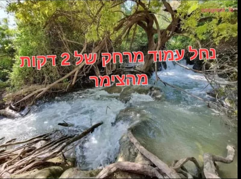 אחוזת יהלום לבנים, צימר, תמונה 8